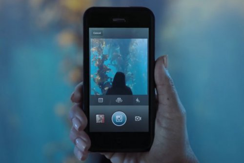 Как скачать видео из Instagram без использования дополнительного программного обеспечения?, Miracle, 12 янв 2015, 20:47, 1387977306_download-instagram-videos.jpg