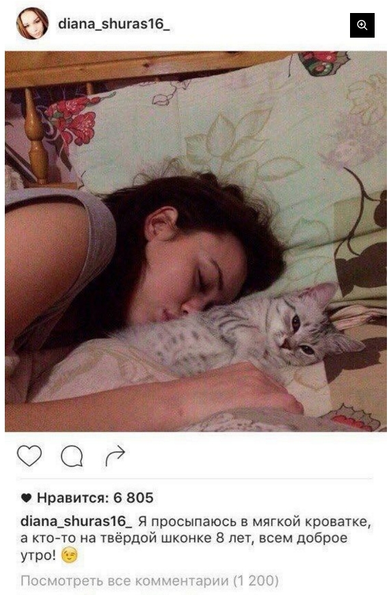 Фейковый Instagram героини «Пусть говорят» Шурыгиной продает рекламу, Soha, 22 фев 2017, 20:05, db0528b2ba.jpg