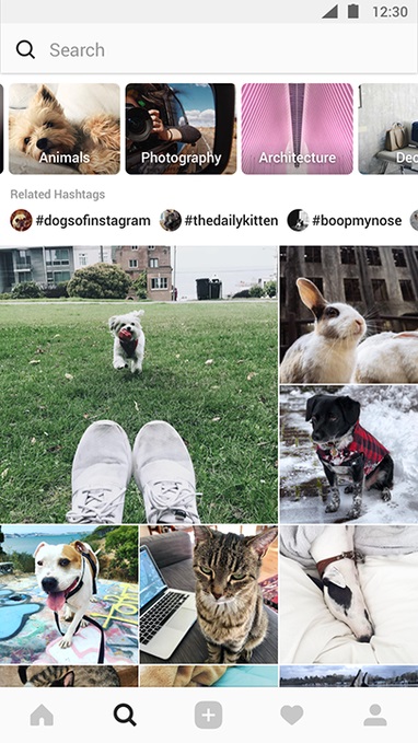 Во вкладке Instagram «Поиск и интересное» появились тематические разделы, Miracle, 28 июн 2018, 10:20, explore_722.jpg