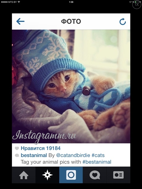 Хэштеги для Инстаграма, Miracle, 14 июл 2014, 21:15, instagram-hashtags-3.jpg