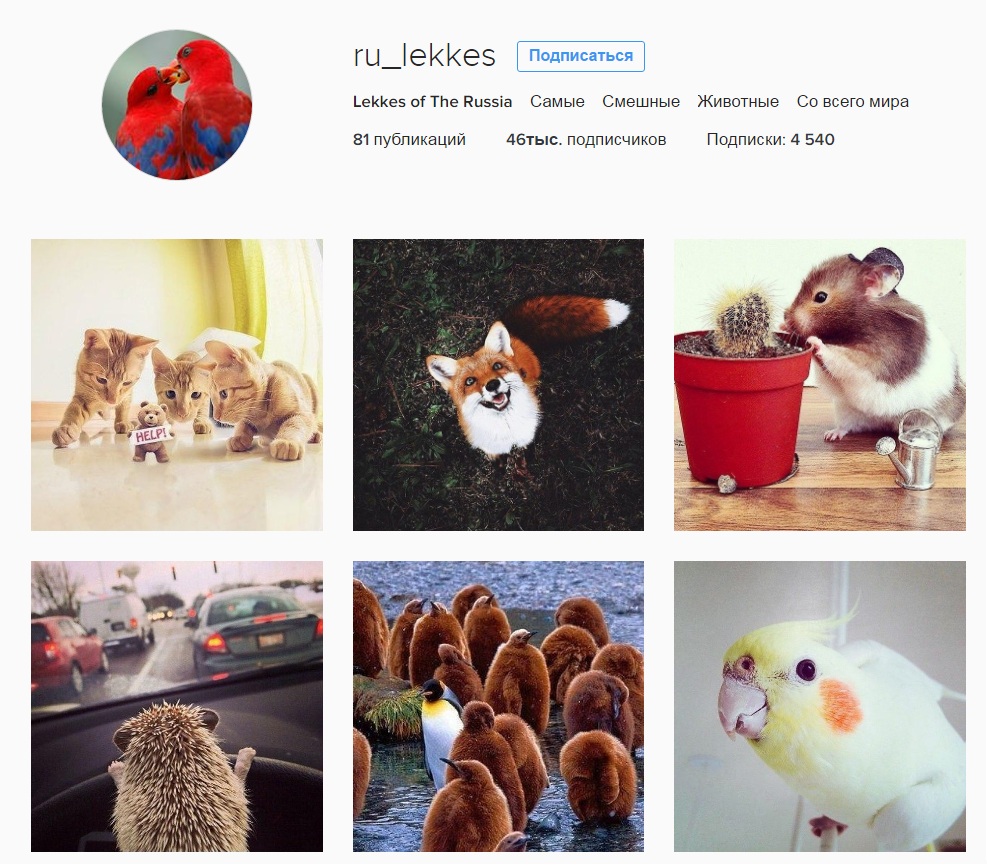 Продажа аккаунтов в Instagram, Maxim24, 22 июн 2016, 16:08, ru_lekkes.jpg