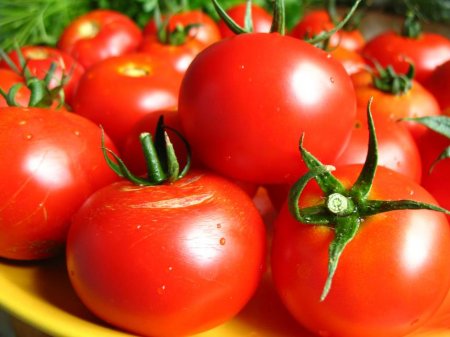 Как выращивать помидоры?, Miracle, 28 сен 2014, 13:11, tomato.jpg